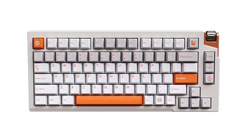 Amazon.co.jp: LUMINKEY LUMINKEY75 V2 Wired Warm Orange White 日本